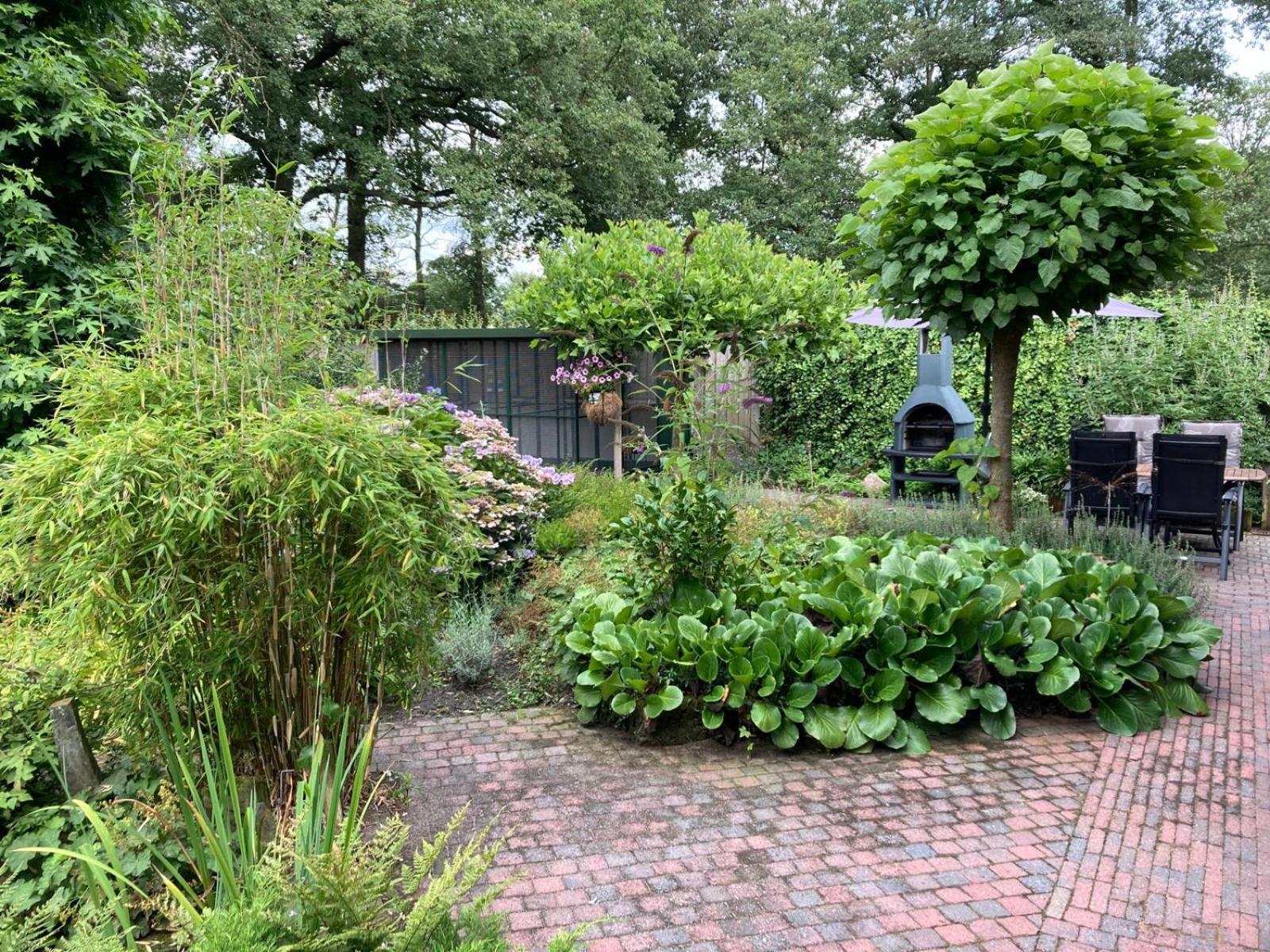 B&B Erve Moeskert Geesteren  外观 照片